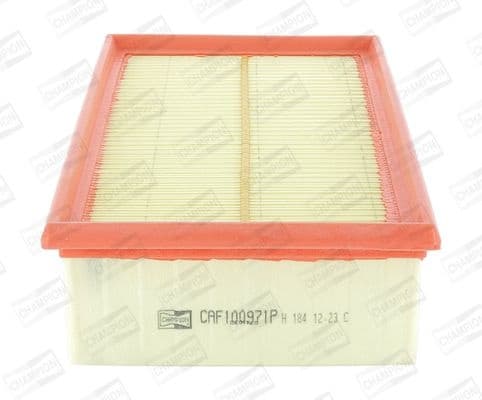 Air Filter CAF100971P
