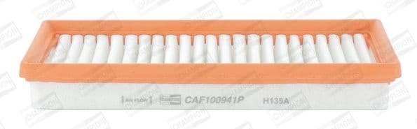 Air Filter CAF100941P