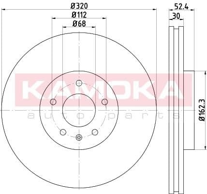 Brake discs kit front (2pcs) 103309 - image 5