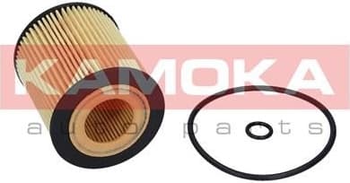 Oil Filter F110201 - image 2