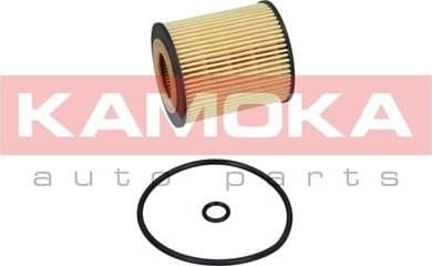 Oil Filter F110201 - image 3