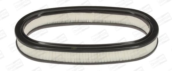 Air Filter CAF100225R