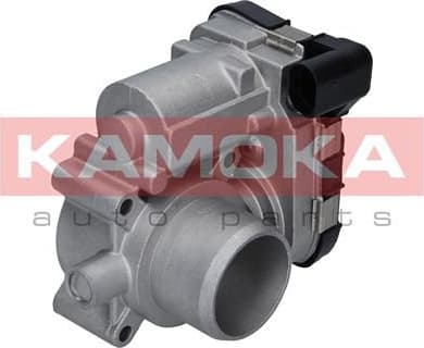 Throttle Body 112021