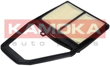 Air Filter F225701