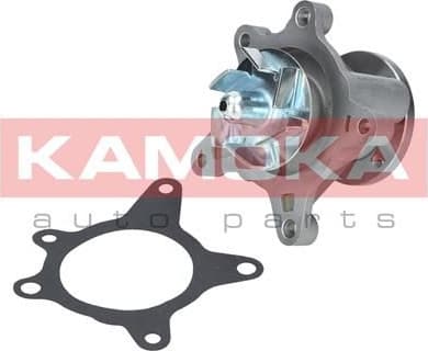 Water Pump, engine cooling T0163