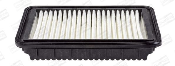 Air Filter CAF101033P