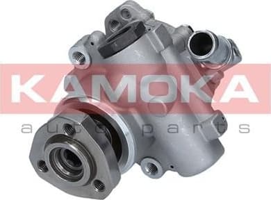 Hydraulic Pump, steering PP194