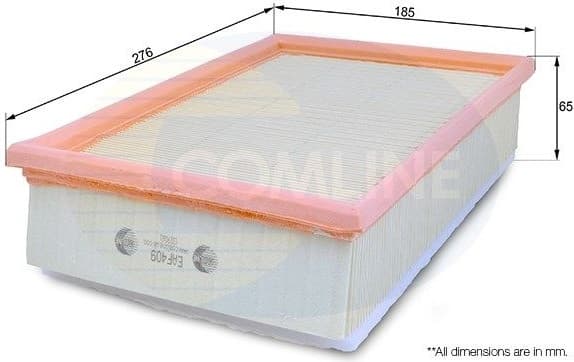 Air Filter EAF409