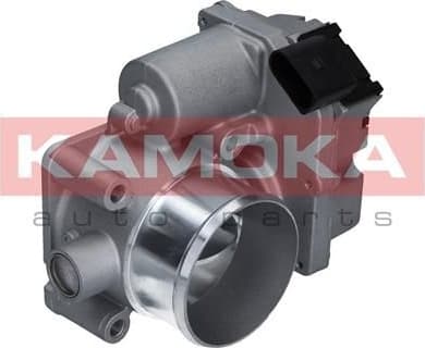 Throttle Body 112017