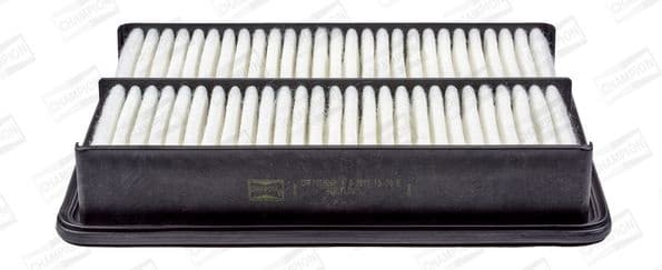 Air Filter CAF101026P
