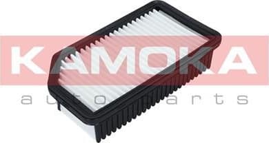 Air Filter F226201