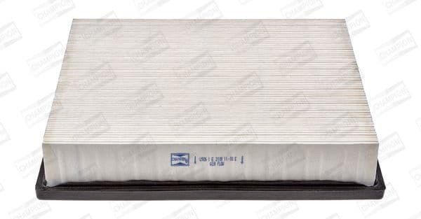 Air Filter CAF100926P