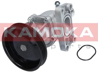 Water Pump, engine cooling T0276