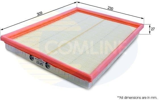 Air Filter EAF003