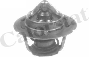 Thermostat TH6843.91J