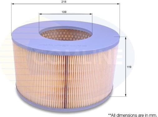 Air Filter CTY12070