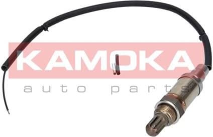 Oxygen Sensor 17001