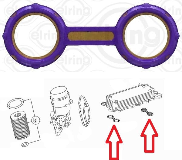 Gasket oil cooler 524.270