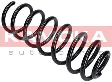 Suspension Spring 2120298 - image 4