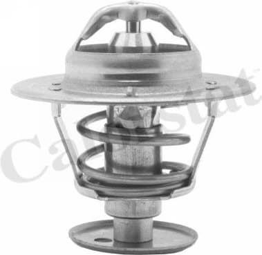 Thermostat TH5981.89J