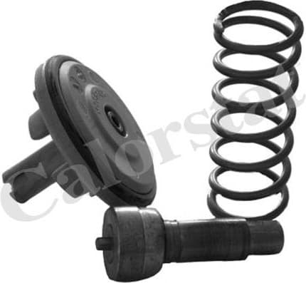 Thermostat, coolant TH6965.87