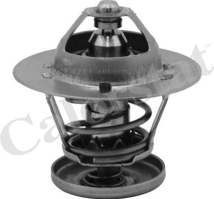 Thermostat, coolant TH6580.88J