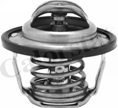 Thermostat, coolant TH6883.82J