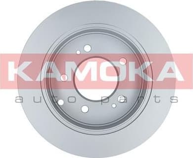 Brake Disc 1031092