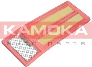 Air Filter F222601