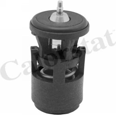 Thermostat, coolant TH6274.80J