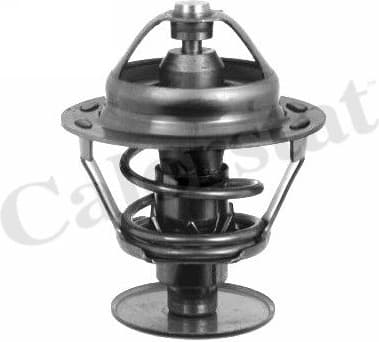 Thermostat, coolant TH1542.89J