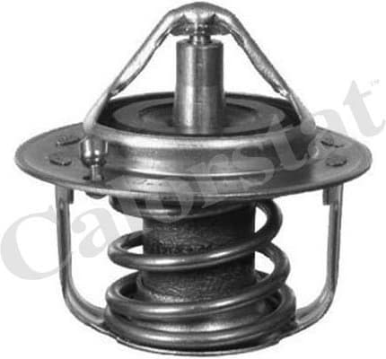 Thermostat, coolant TH6737.82J