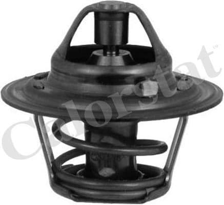 Thermostat TH3319.88J