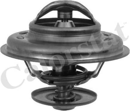 Thermostat, coolant TH5111.80J