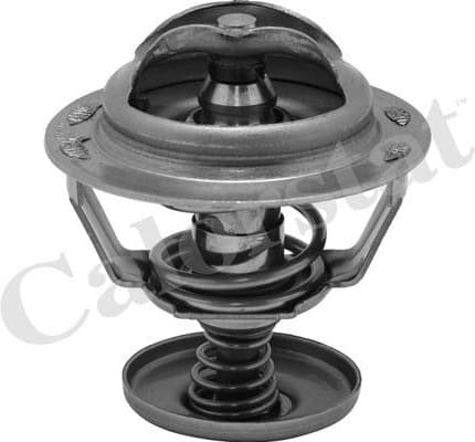 Thermostat, coolant TH6838.82J