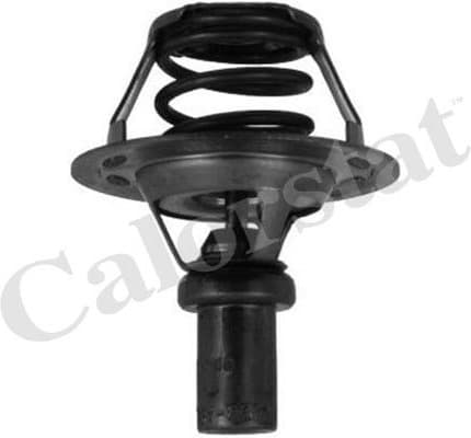 Thermostat TH5284.91J