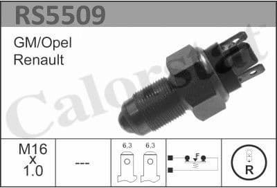 Switch, reverse light RS5509