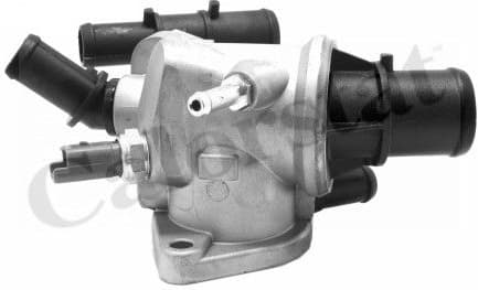 Thermostat, coolant TH6869.88J