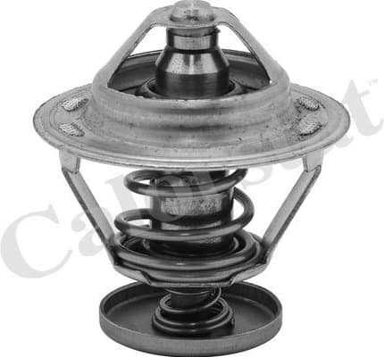 Thermostat TH5079.82J