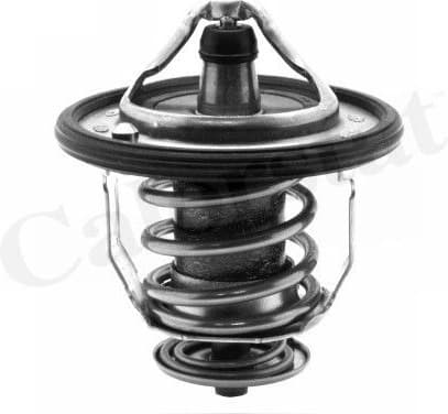 Thermostat, coolant TH5434.82J