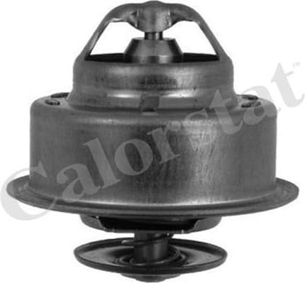 Thermostat, coolant TH4856.88J