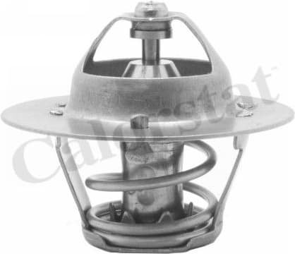 Thermostat, coolant TH5971.82J