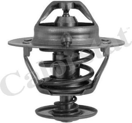 Thermostat TH6294.82J