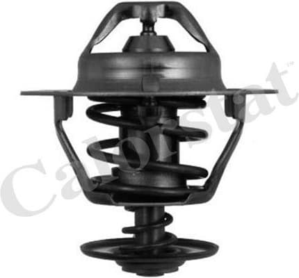 Thermostat TH6319.88J