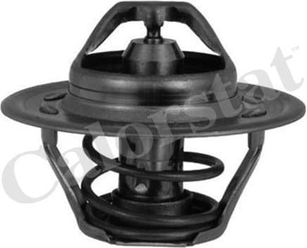 Thermostat, coolant TH6244.92J