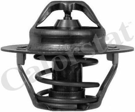 Thermostat, coolant TH6047.75J