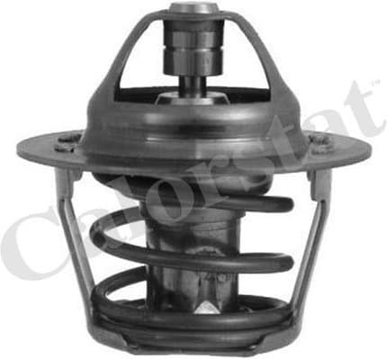 Thermostat, coolant TH1248.80J