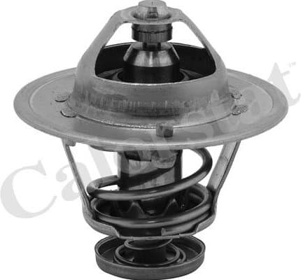 Thermostat TH6252.89J