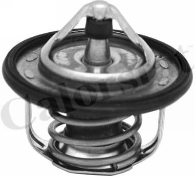 Thermostat TH7300.95J