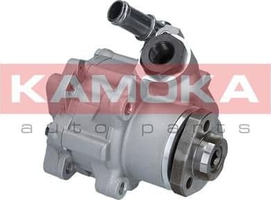 Hydraulic Pump, steering PP195
